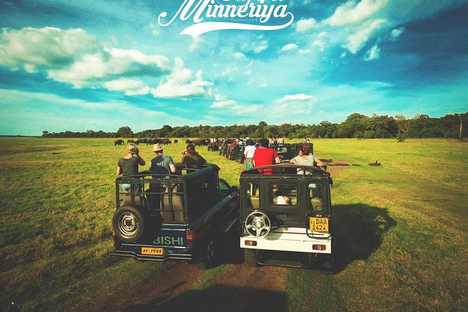 Kandy - Minneriya National park & Sigiriya Rock by tuk tuk tours - Group discounts, mobile tickets, and onboard Wi-Fi: the small comforts that add up