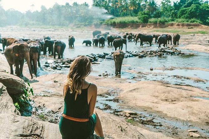 Kandy & Nuwara Eliya | 2 Days Tour - Starting at 8:00 am: pickup that sets the tone