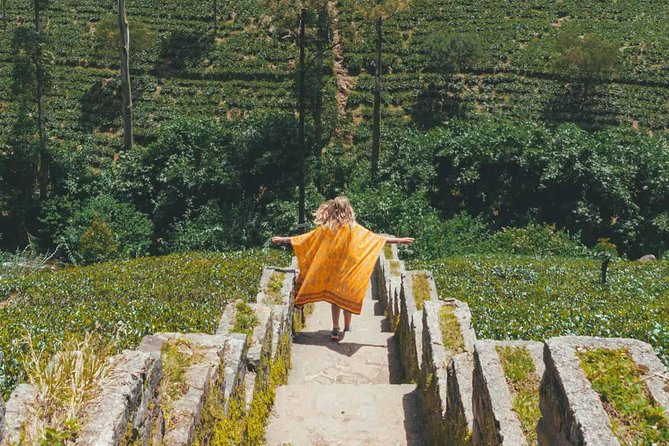 Kandy & Nuwara Eliya | 2 Days Tour - The drive to Nuwara Eliya: tea views plus real hill-country timing