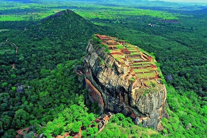 Minneriya Elephant Safari wth Sigiriya Lion Rock from Colombo - Mornings at Minneriya National Park: 4x4 safari for the elephant crowds