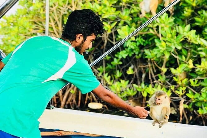 Monkey Island Boat Tour at Negombo Lagoon - Monkey Island: feeding monkeys the right way (and what to expect)