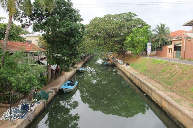 Monkey Island Boat Tour at Negombo Lagoon - Price and value: is $50 per person fair?