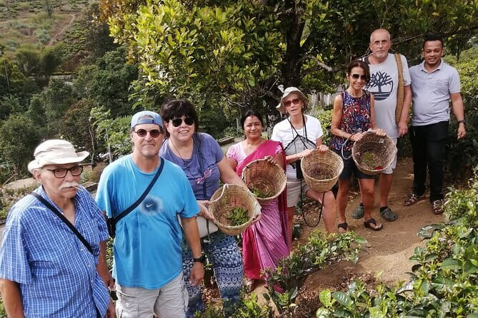Multi Day Round Private Tour in Sri Lanka - Day 1: Pinnawala, Golden Cave Temple, and Minneriya Safari Energy