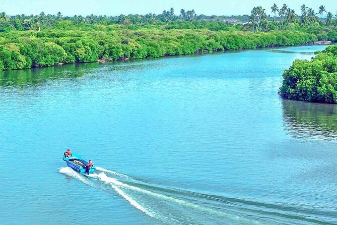 Muthurajawela Bird Watching Tour from Negombo / Colombo - 7:00 AM pickup by tuk tuk: simple logistics, less wasted time