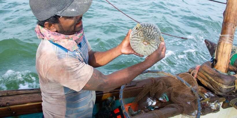 Negombo: Catamaran Sailing with Traditional Fishermen - Key Points You’ll Care About