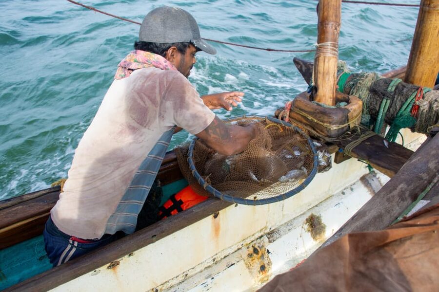 Negombo: Catamaran Sailing with Traditional Fishermen - Who This Catamaran Trip Is Best For (and Who Should Skip It)