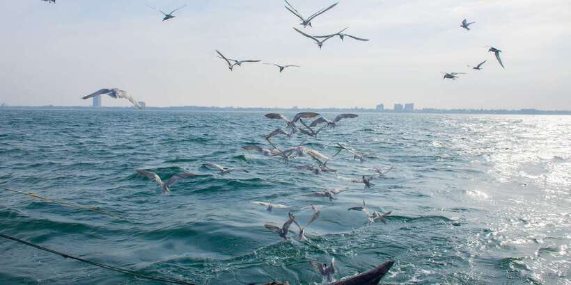 Negombo: Catamaran Sailing with Traditional Fishermen - Snacks, Soft Drinks, and the Rhythm of a Working Crew