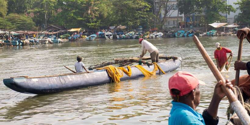 Negombo: Catamaran Sailing with Traditional Fishermen - Sea Birds at Close Range: Why Unwanted Fish Matters
