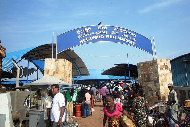 Negombo City Tour by TUK TUK with Rome - Negombo Lagoon: water-fed calm after the market noise