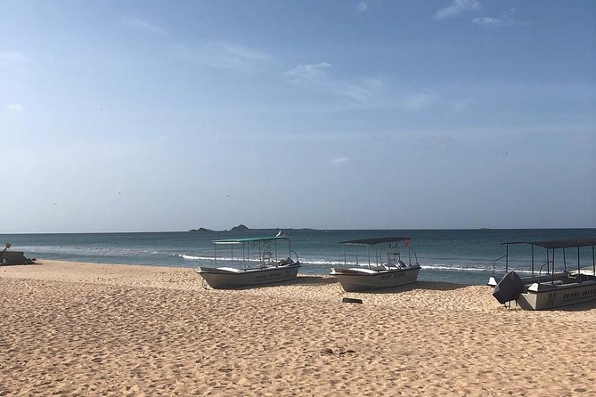 Negombo Day Tour - Key highlights you’ll actually care about