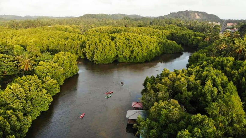 Negombo: Guided Kayaking Tour in the Lagoon - Paddling Through Mangroves: How the Route Actually Feels