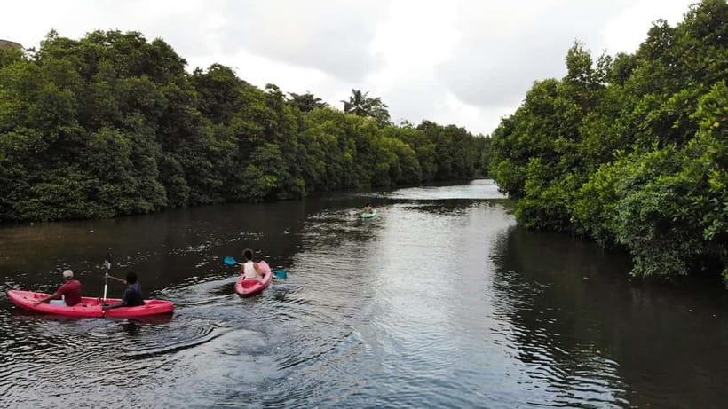 Negombo: Guided Kayaking Tour in the Lagoon - Captain’s Landing to Your Kayak: The Safety Brief That Makes It Easier