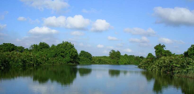 Negombo: Hamilton Canal to Colombo by Boat via Muthurajawela - Pickup and timing: how to plan your day around 2.5 hours
