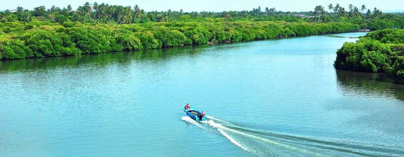 Negombo: Hamilton Canal to Colombo by Boat via Muthurajawela - The Muthurajawela Wetland visitor stop (and why it’s more than a “rest break”)
