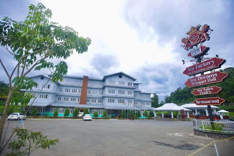 Negombo: Kandy and Pinnawala Elephant Orphanage Day Tour - Peradeniya Royal Botanical Gardens: the giant Javan fig and your pace