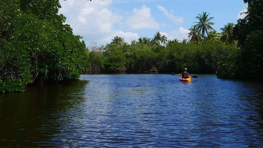 Negombo: Kayaking in the Lagoon - Captain’s Landing to your kayak: a simple start with real guidance