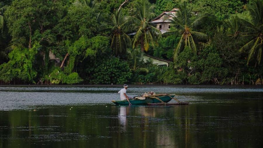 Negombo: Kayaking in the Lagoon - Mangroves up close: the lagoon channels that motor boats can’t reach