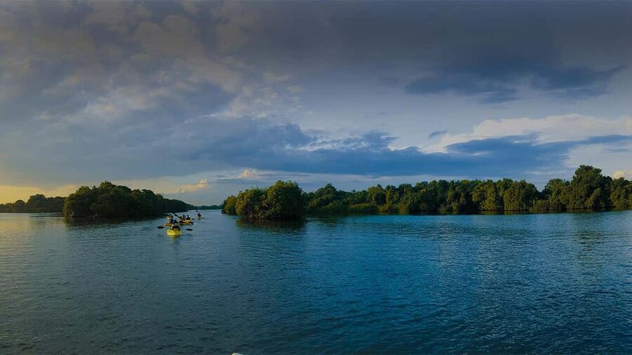 Negombo: Kayaking in the Lagoon - Who this Negombo Lagoon kayaking tour fits best