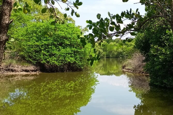 Negombo Lagoon Boat Safari Hotel Pickup(Monkey,Mangrove) - Meeting Point and Easy Routing in One Place
