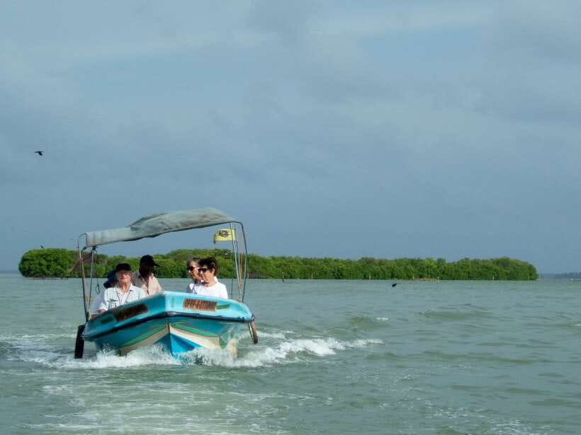 Negombo Lagoon (Mangrove ) Boat Excursion - Key highlights you’ll actually notice