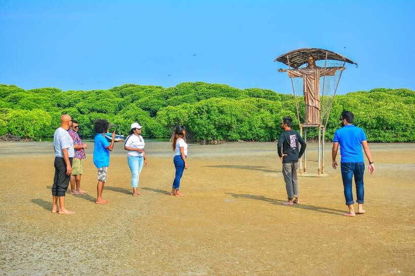 Negombo Lagoon (Mangrove ) Boat Excursion - Negombo Lagoon Mangroves: Calm Water, Real Daily Life