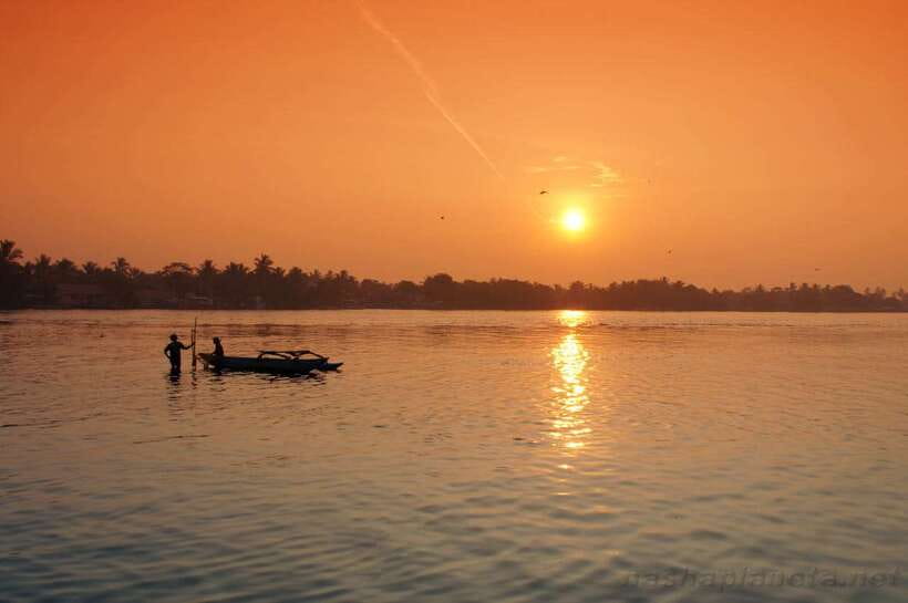 Negombo Lagoon (Mangrove ) Boat Excursion - Dutch Canal Break Time and Scenic Stops