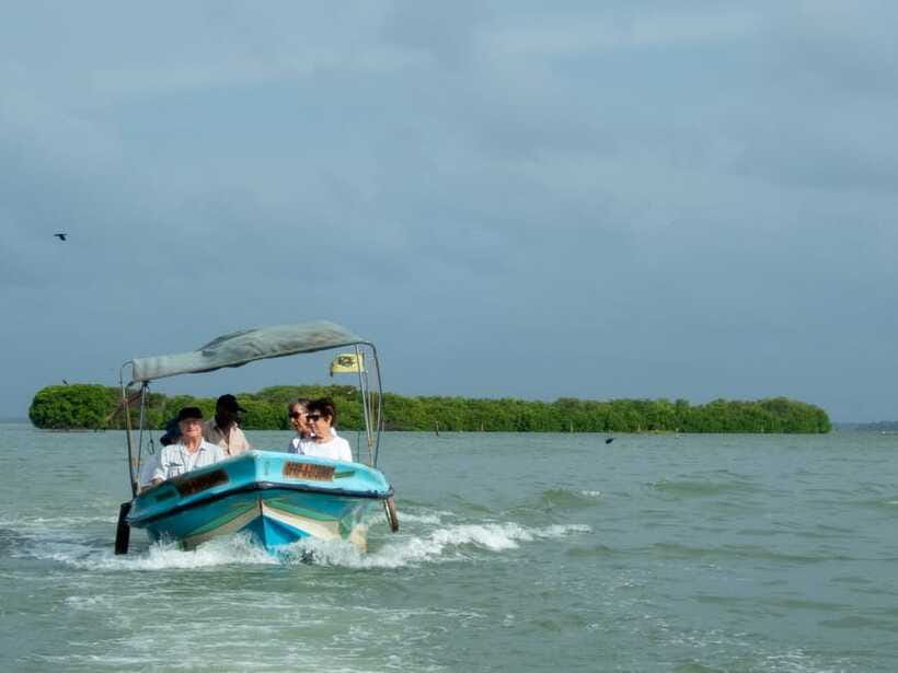 Negombo Lagoon (Mangrove ) Boat Excursion - Negombo Fish Market: Quick Glance, Local Energy