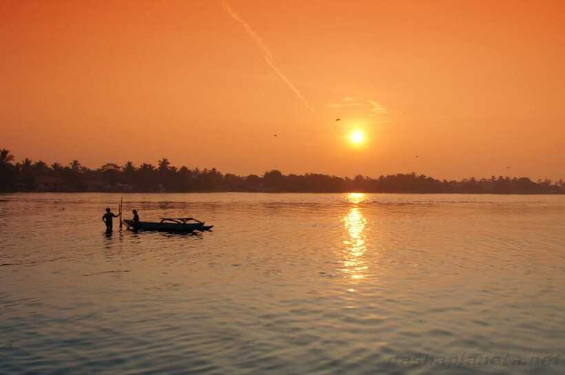 Negombo Lagoon (Mangrove ) Boat Excursion - What to Bring for a Comfortable Day on the Water