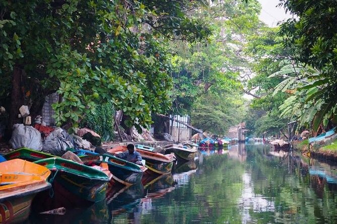 Negombo Lagoon & Muthurjawela Bird Watching Boat Tour - What the tour value looks like at $45 per person