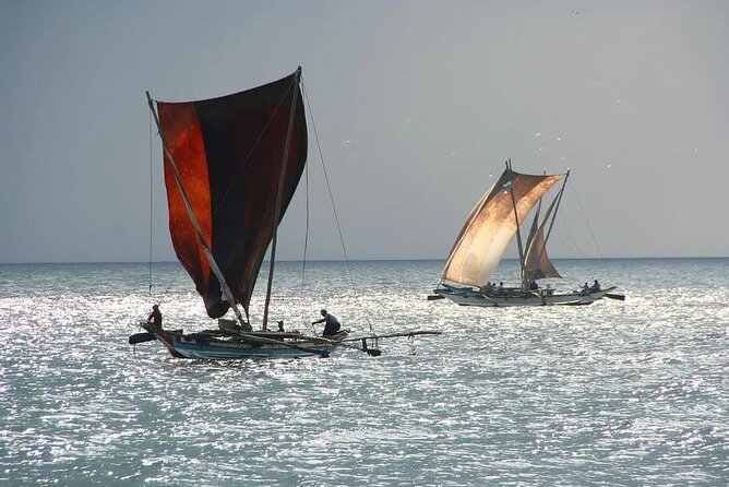 Negombo Lagoon & Muthurjawela Bird Watching Boat Tour - Timing in Negombo: 6:00 AM to 6:00 PM
