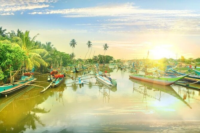 Negombo Lagoon & Muthurjawela Bird Watching Boat Tour - What you’ll see and learn on the ride
