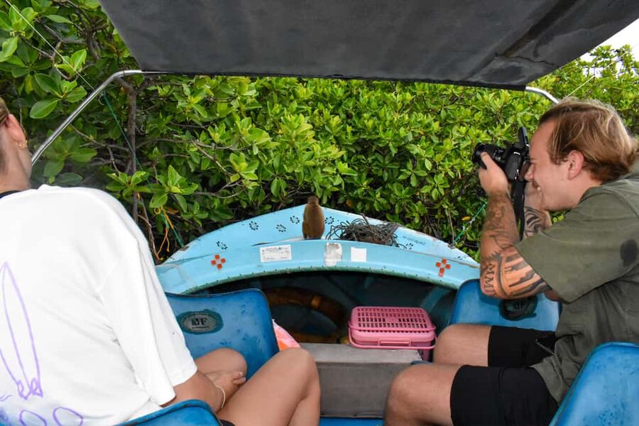 Negombo: Sunset lagoon boat tour with hotel transfers - Why Negombo’s Dutch Canal boat ride feels special