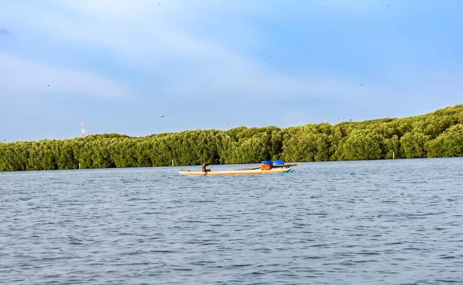 Negombo: Sunset lagoon boat tour with hotel transfers - What you should bring for a smooth lagoon experience