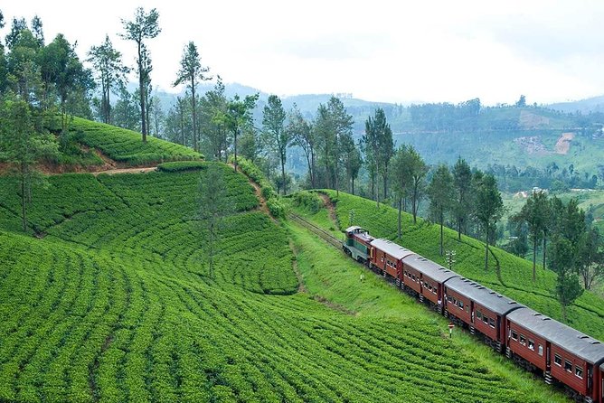 Nuwaraeliya Day Tour & Kithulgala Water Rafting from Kandy,Colombo or Ella - Getting rolling: the 7:00 am start and private transport comfort