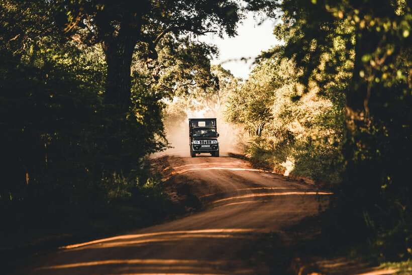 Overnight Treehouse Safari at Yala National Park - Yala wildlife, timed for maximum chances