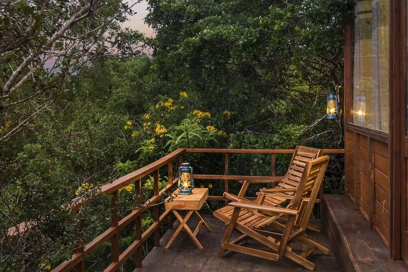 Overnight Treehouse Safari at Yala National Park - Campfire drinks, dinner outdoors, and beer with dinner
