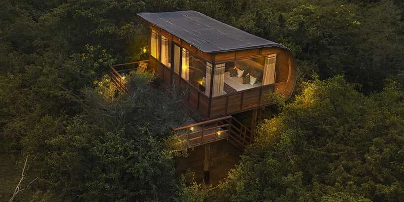 Overnight Treehouse Safari at Yala National Park - What’s included (and why it matters for value)