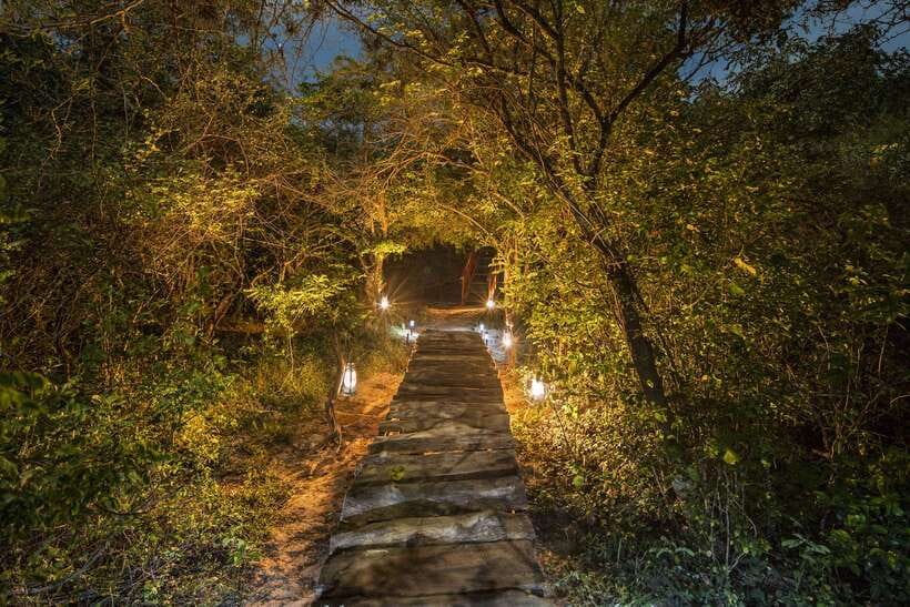 Overnight Treehouse Safari at Yala National Park - Price and value: is $549 per person justified?
