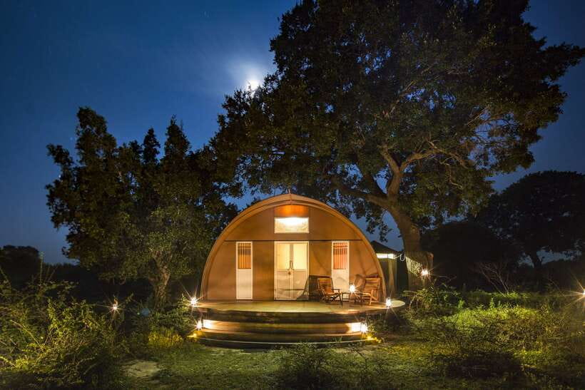 Overnight Treehouse Safari at Yala National Park - Leopard Nest treehouse stay: close to the jungle, with a real camp feel