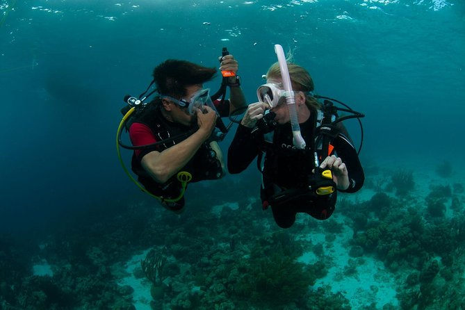 PADI Scuba Diver Course - PADI Scuba Diver in Sri Lanka: what you truly get for a short trip