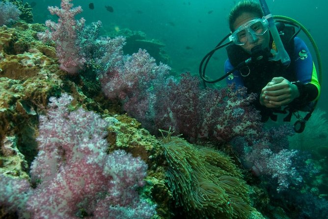 PADI Scuba Diver Course - How the schedule runs: theory first, then controlled skills, then open-water sessions