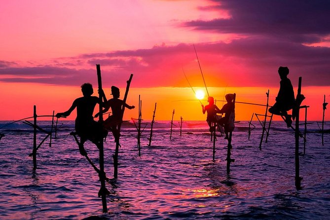 Personal Driver For Your Two Weeks Round Tour In Sri Lanka - Price for a group of up to 3: when it feels like a win