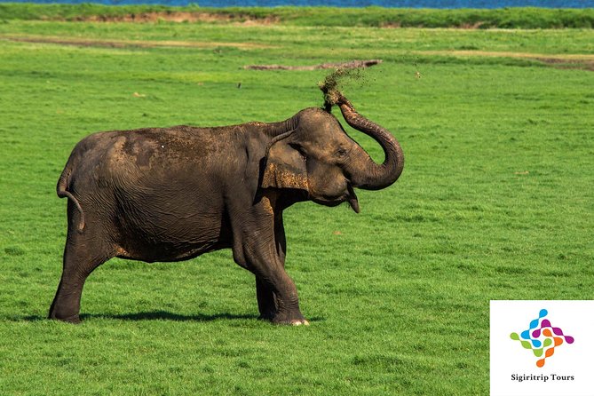 Personal Driver For Your Two Weeks Round Tour In Sri Lanka - Who should book this, and who might want a simpler plan