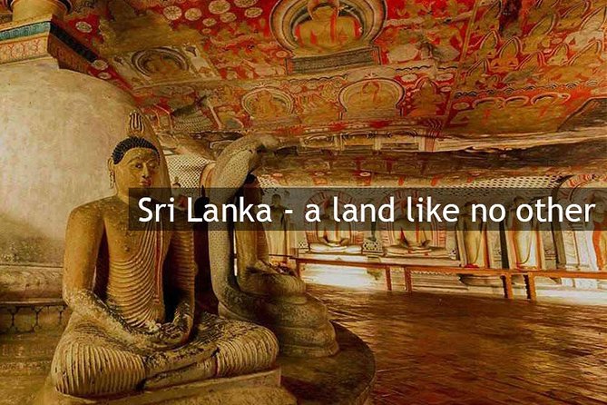 Personal Driver For Your Two Weeks Round Tour In Sri Lanka - Should you book Sigiritrip Tours for your two weeks?