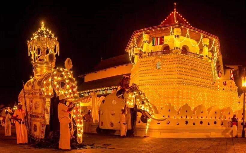 Pinnawala,Kandy Day Tour from Colombo/Negombo - Early Morning Logistics: Why This 6:30 AM Start Matters