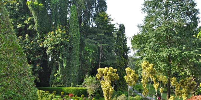 Pinnawala & Kandy Day Tour from Negombo - Key highlights worth your attention