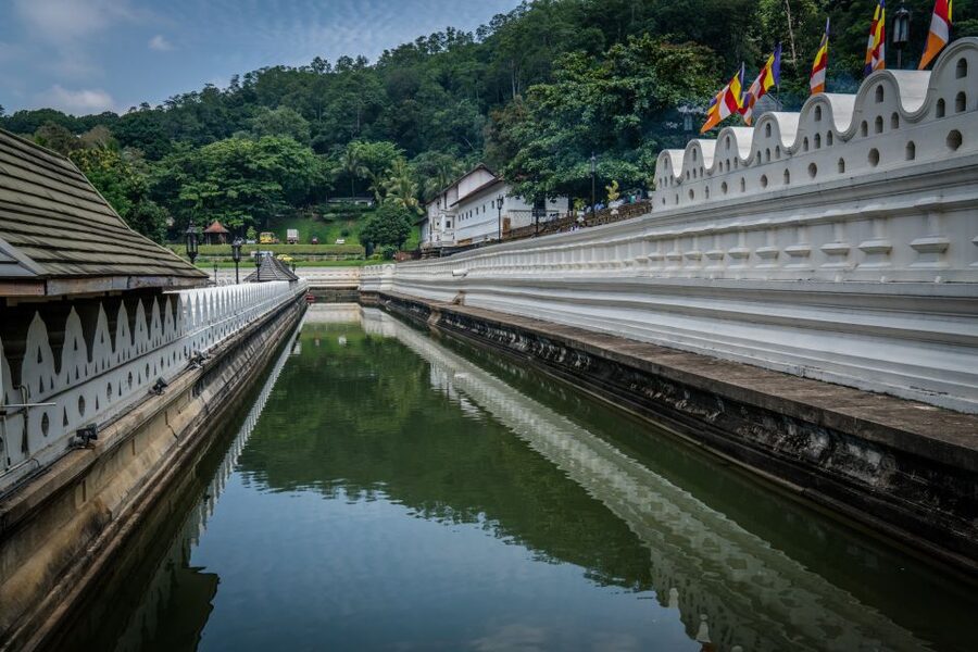 Pinnawala & Kandy Day Tour from Negombo - Price and Value: What You’re Paying For