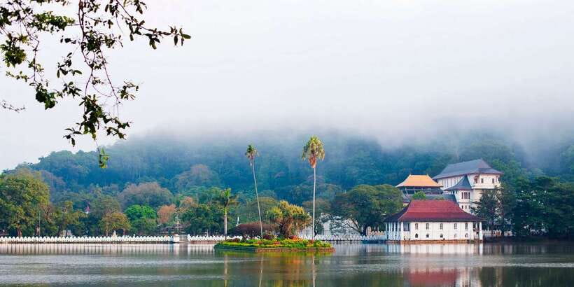 Pinnawala & Kandy Day Tour from Negombo - A Full-Day Kandy Hit From Negombo (and Why It Works)