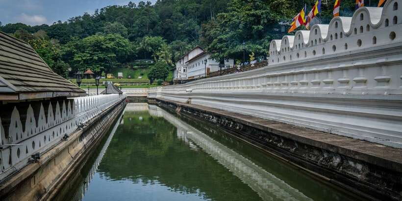 Pinnawala & Kandy Day Tour from Negombo - Kandy Viewpoint: Short Time, High Payoff Photos