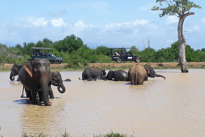 Private 2-Day Trip To Mirissa Beach And Yala From Colombo - Day 1: Madu River Mangrove Safari, Cinnamon, and Crocodile Country